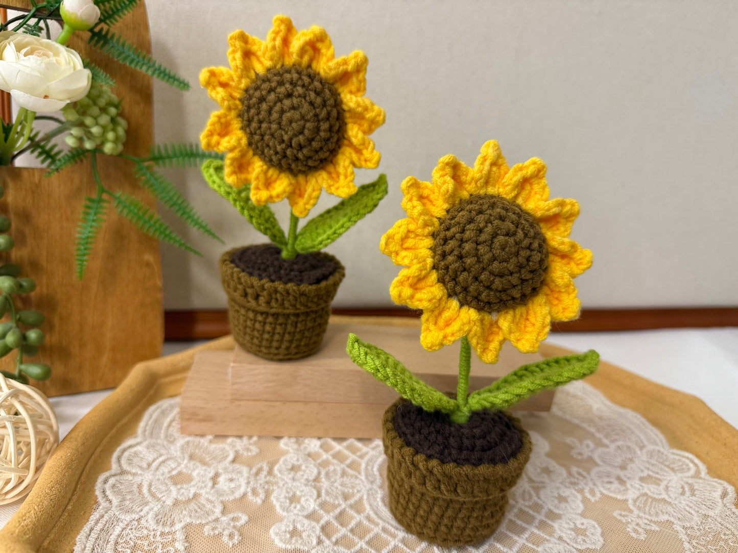 Potted Sunflower