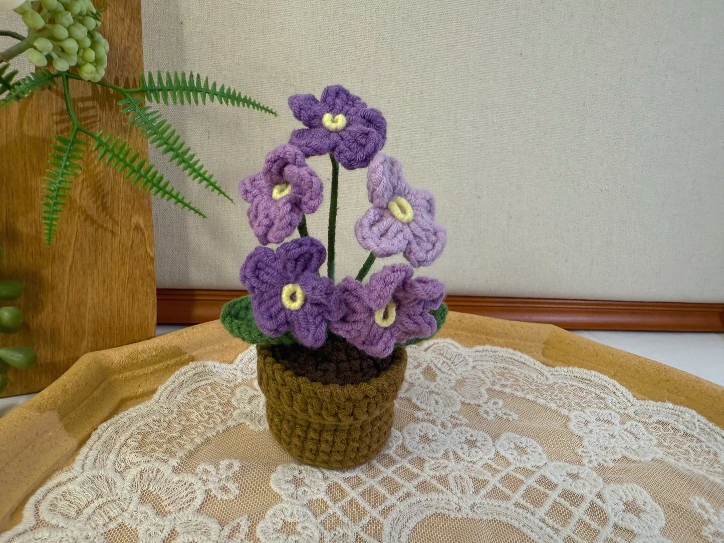 Forget-Me-Not in Pot