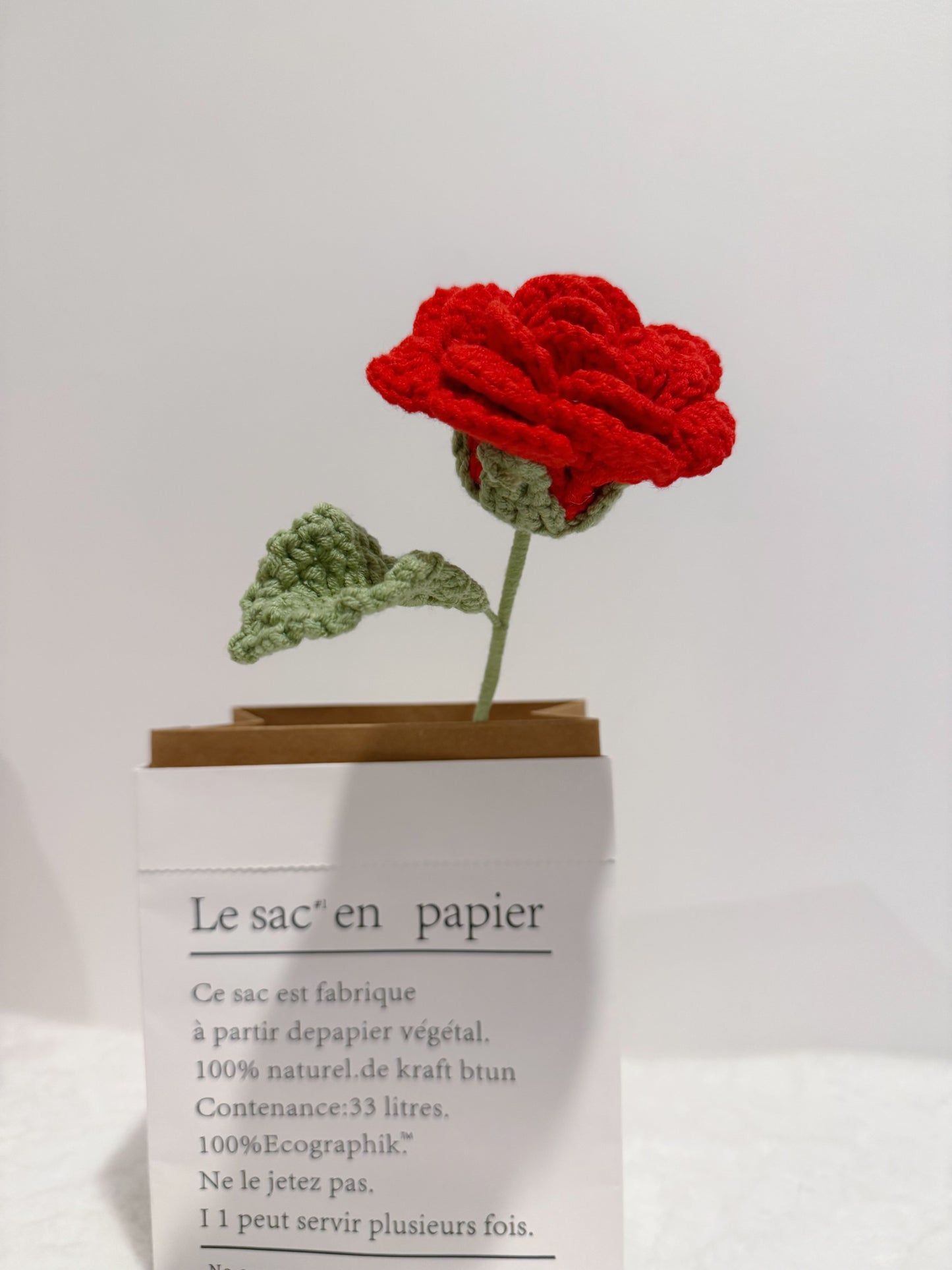 Warm Rose