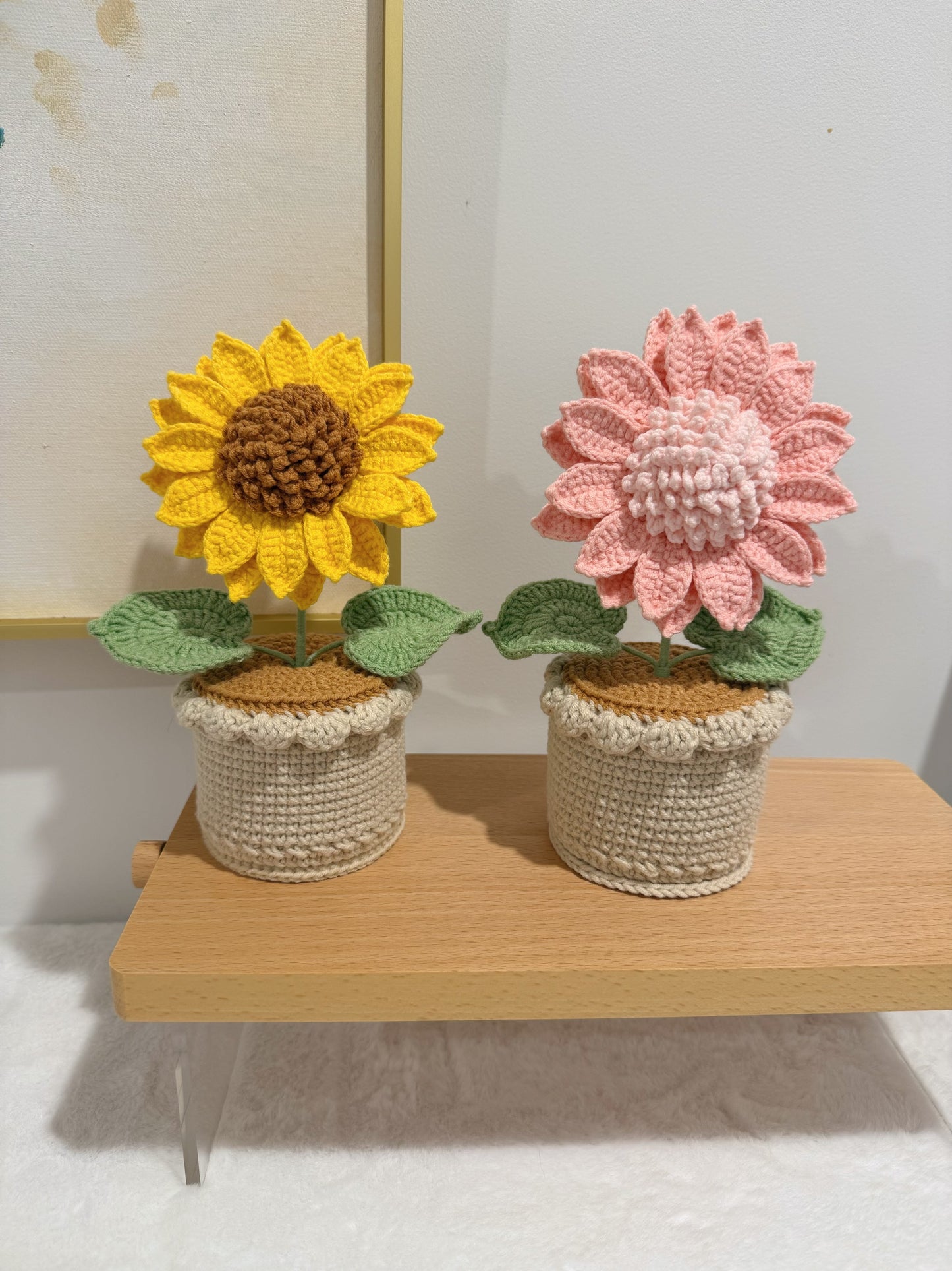 Sunny Bloom Pot