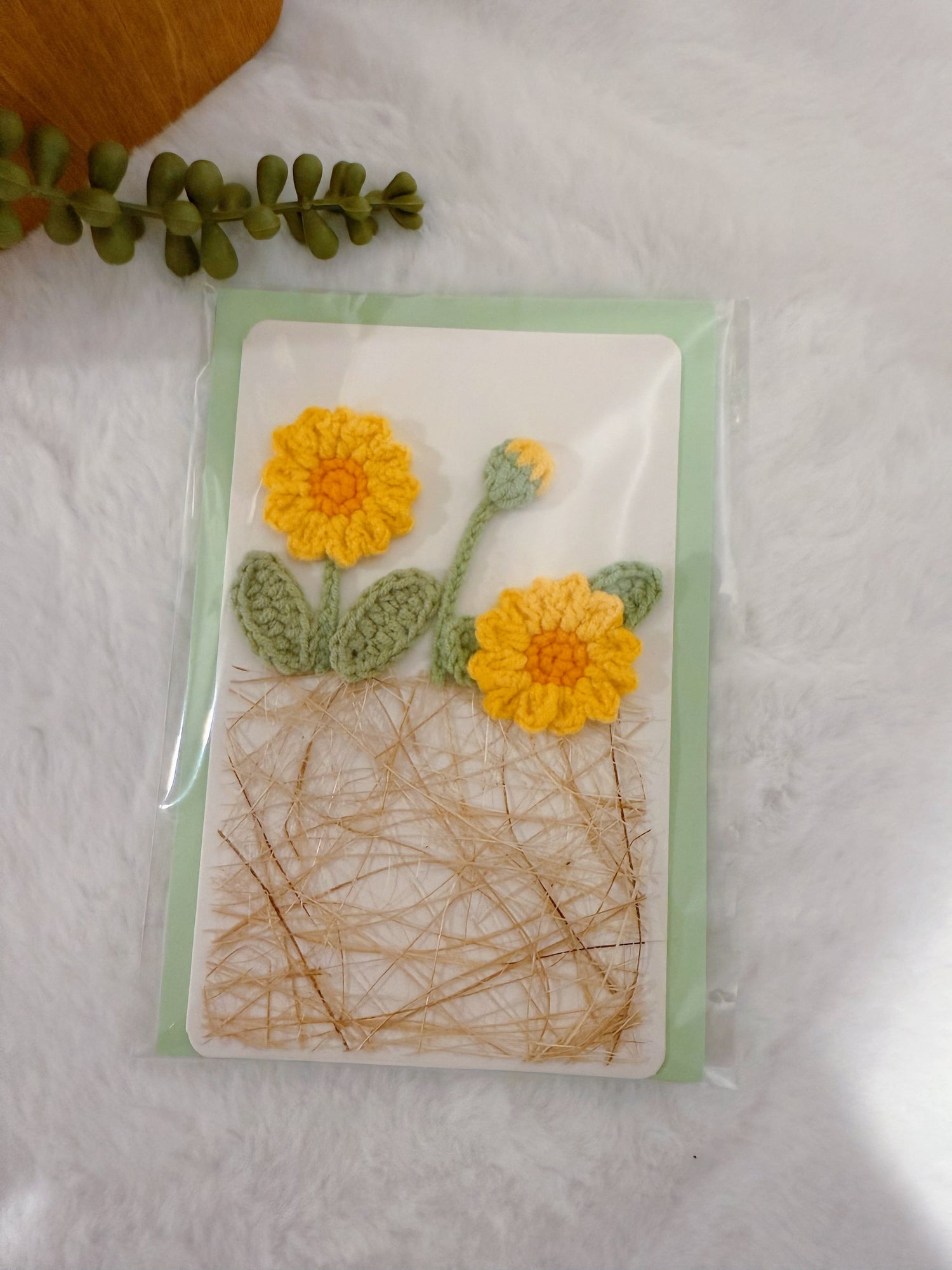 Greeting Cards
