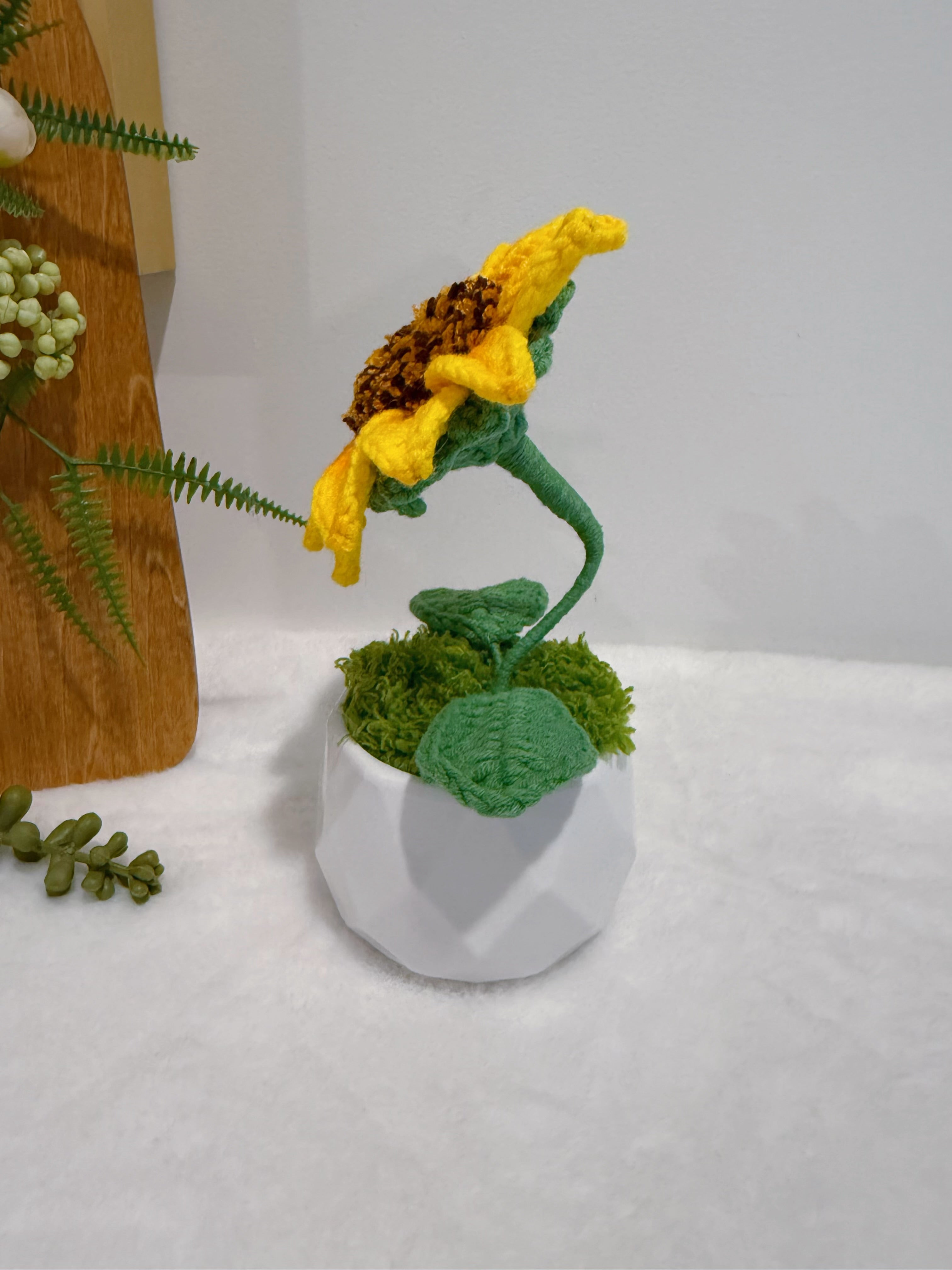 Mini Sunflower Garden in Pot