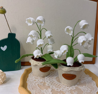 Potted Lily of the Valley