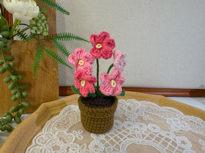 Do Not Forgot Me Plant Pot