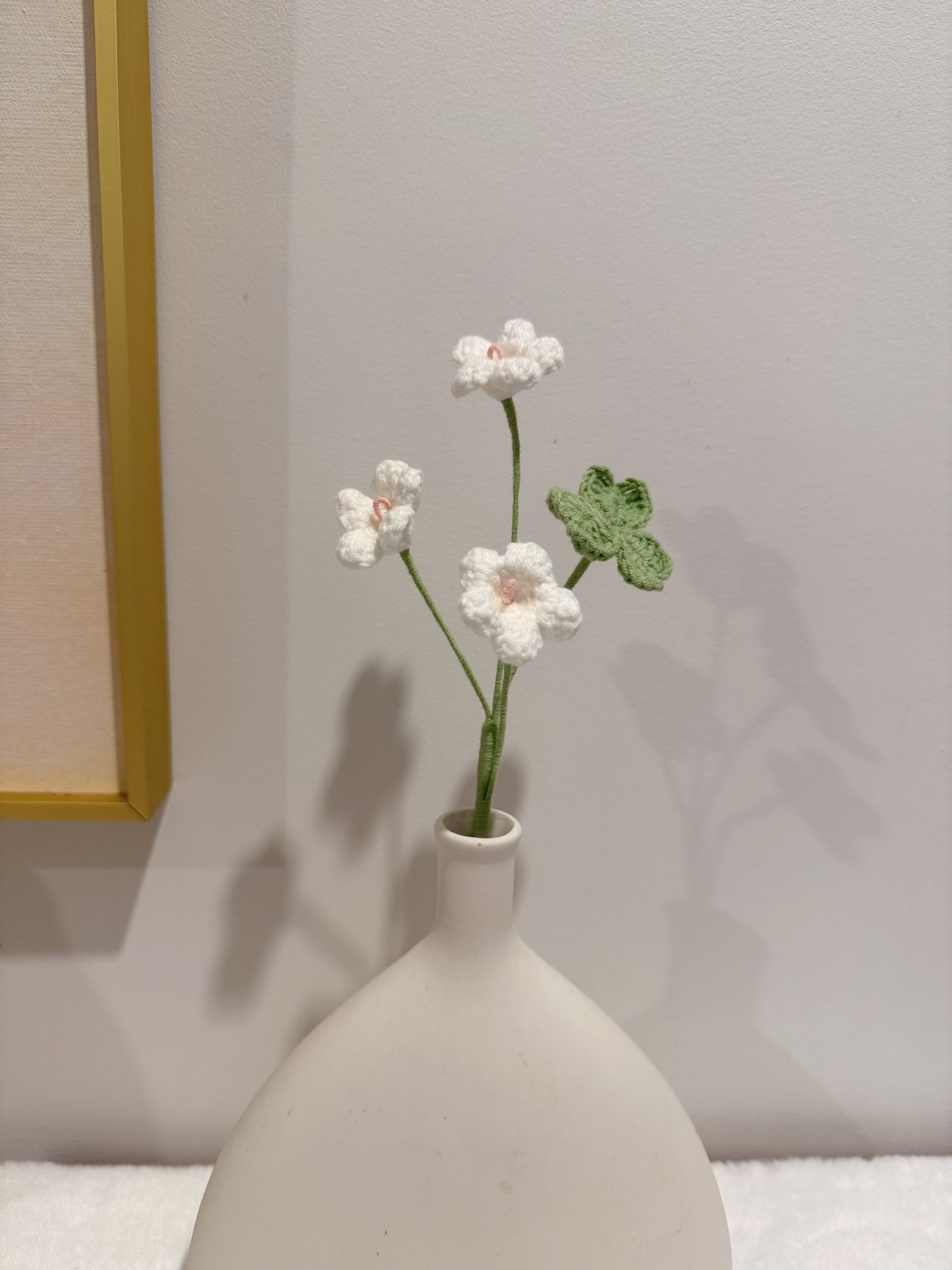 Oxalis