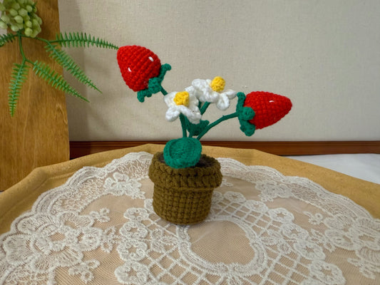 Potted Strawberries