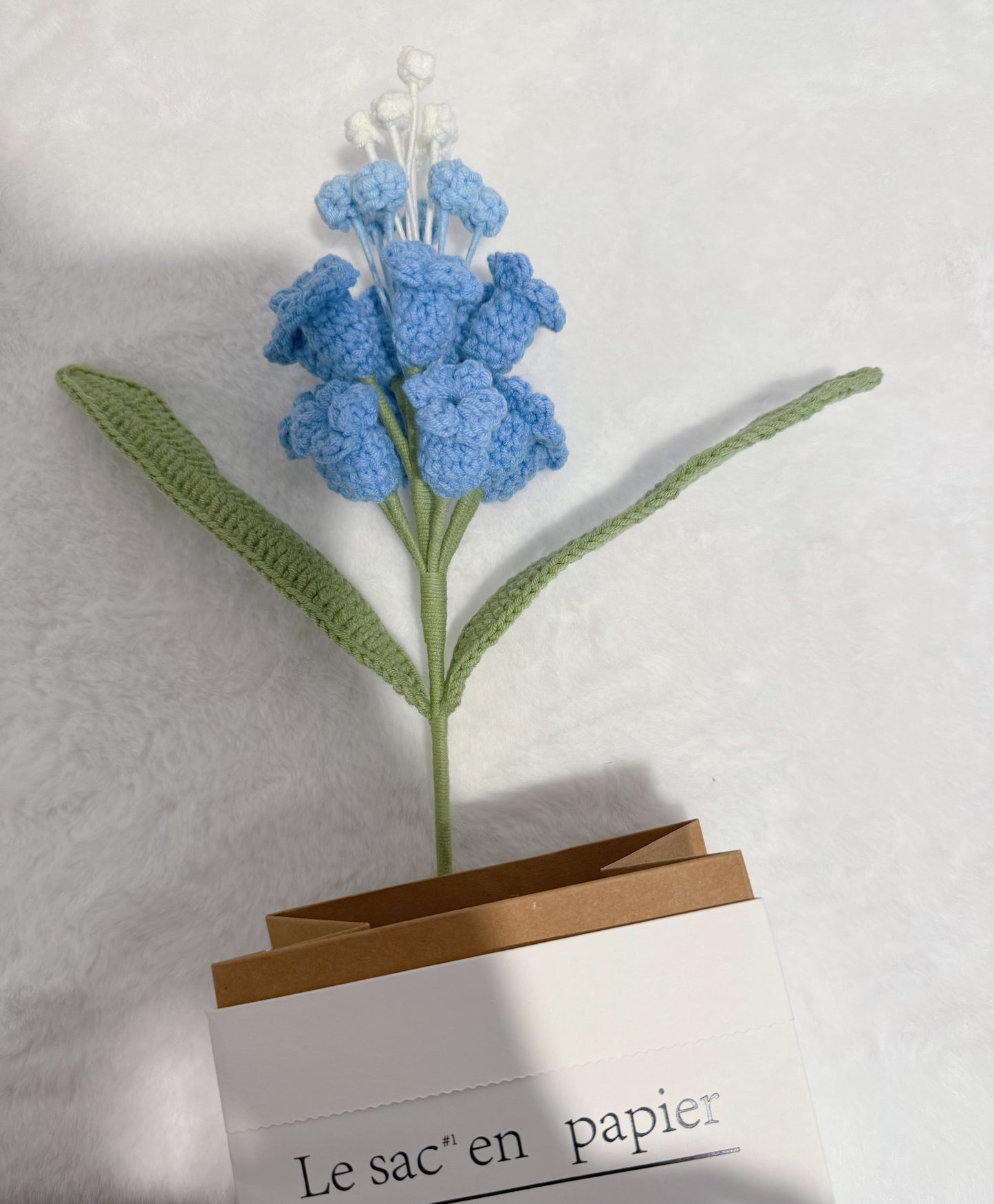 Hyacinth