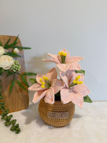 Poinsettia Christmas Flower Pot