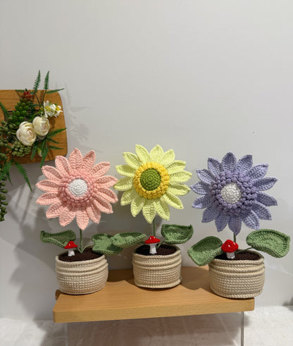 Sunflower & Mushroom Pot