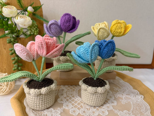 Tulips Pot