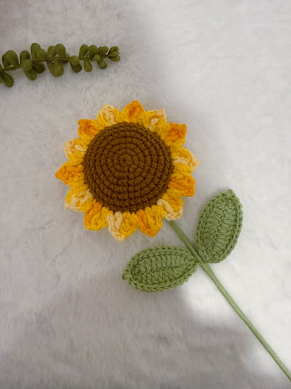 Variegated Sunflower