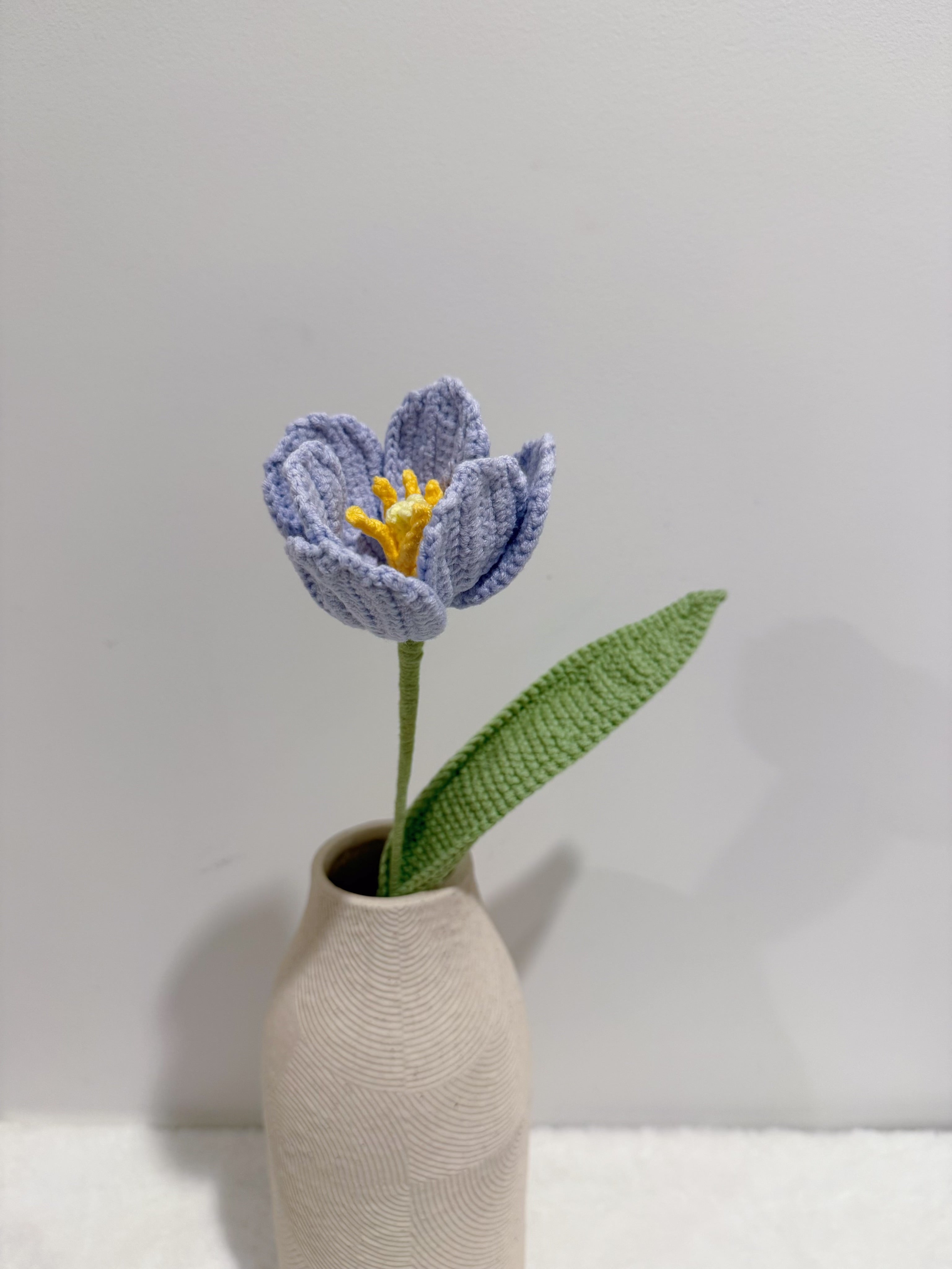 Tulip