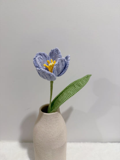 Tulip