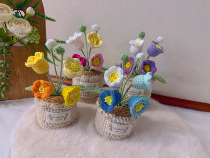 Potted Lily of the Valley