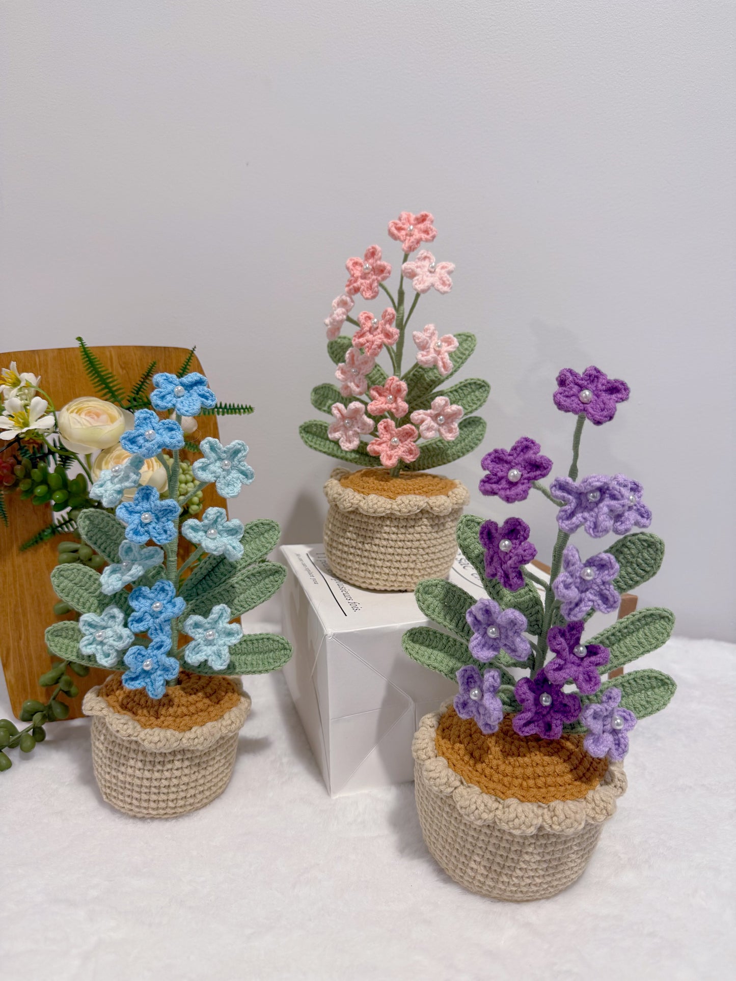 Flowers Blooming in Pot