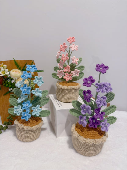 Flowers Blooming in Pot