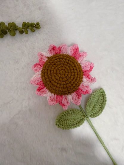 Variegated Sunflower