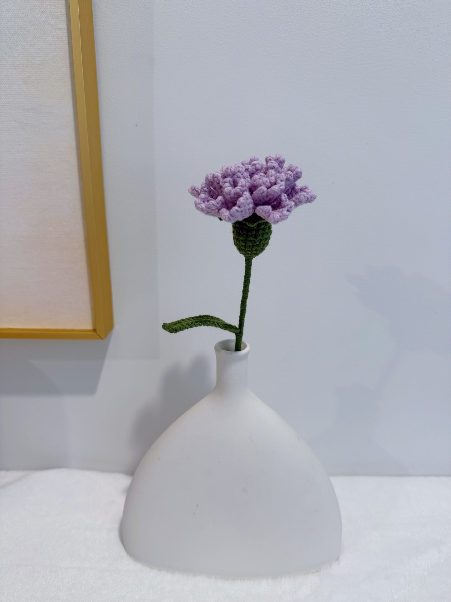 Carnation