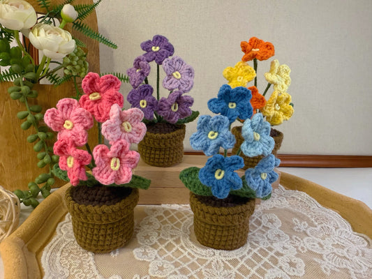 Do Not Forgot Me Plant Pot