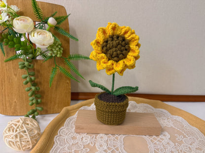 Potted Sunflower