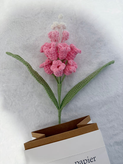 Hyacinth