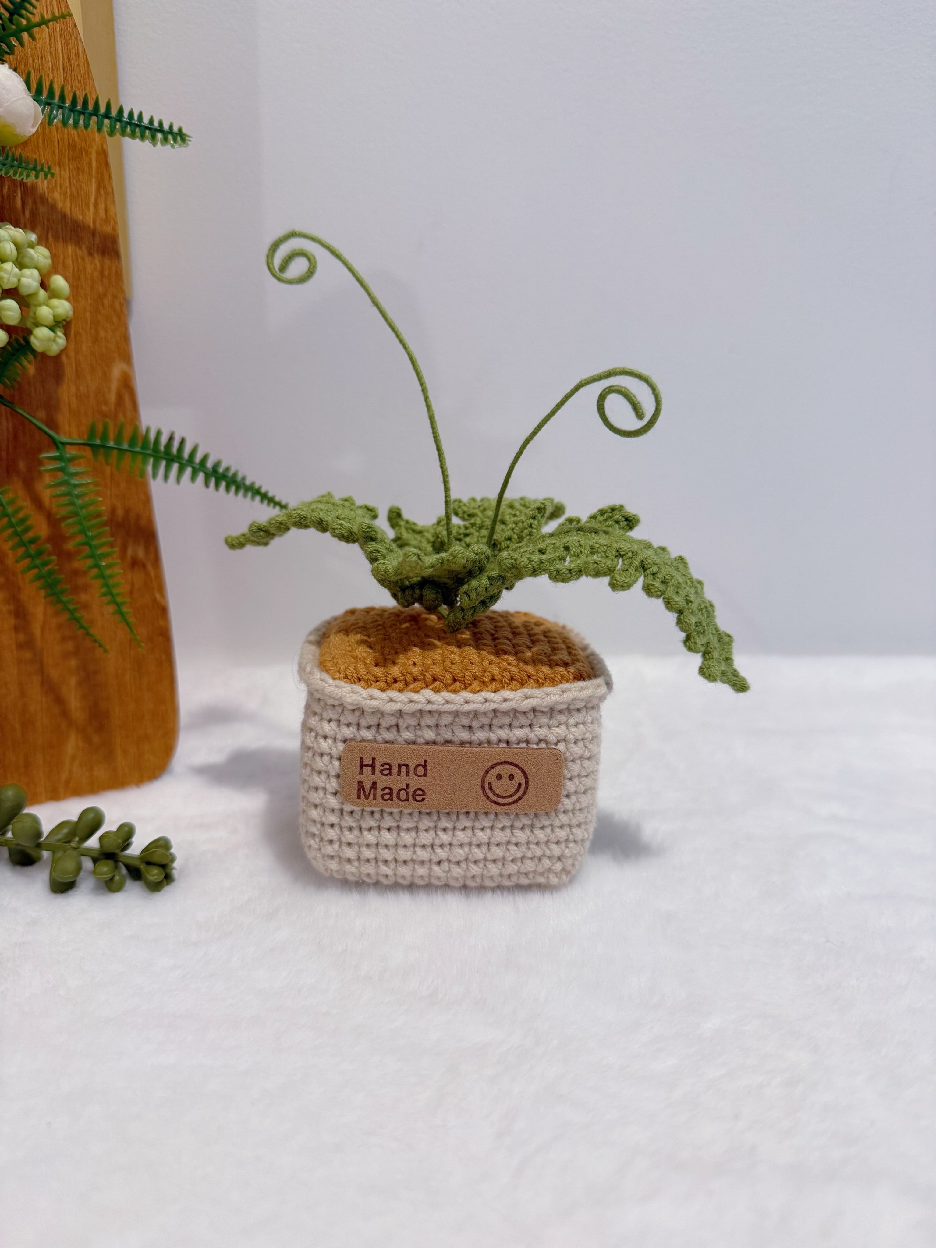 Fern in Pot