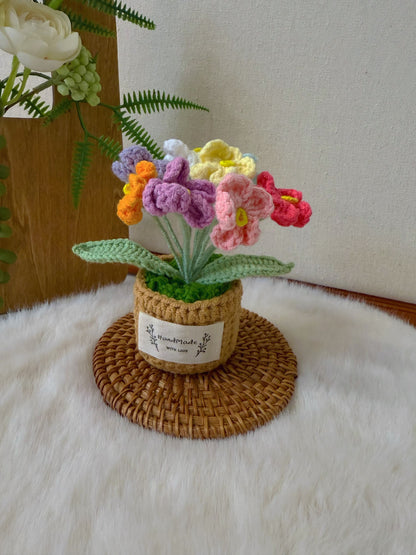 Flowers Pot