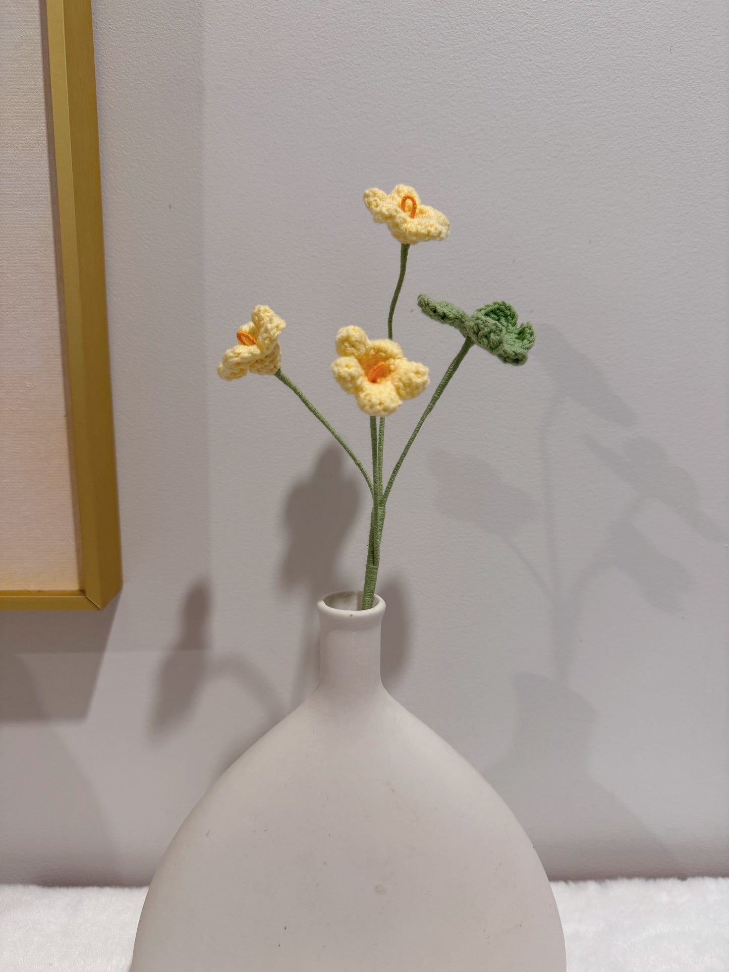 Oxalis