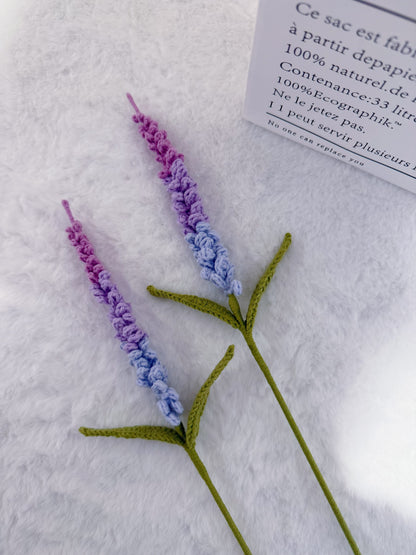 Single Lavender Lace