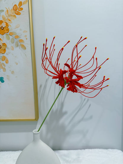 Spider Lily