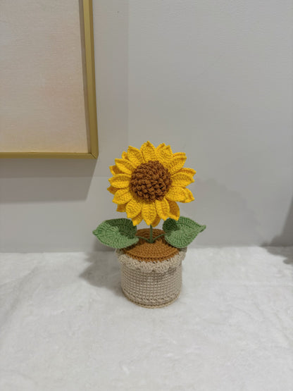 Sunny Bloom Pot