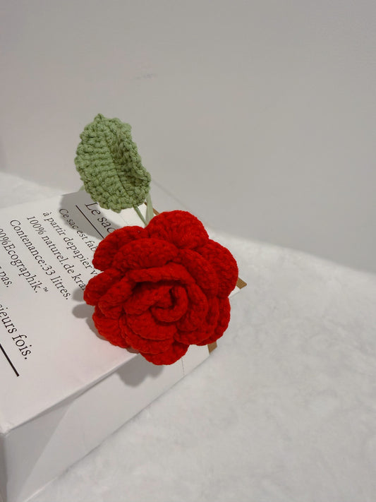 Warm Rose