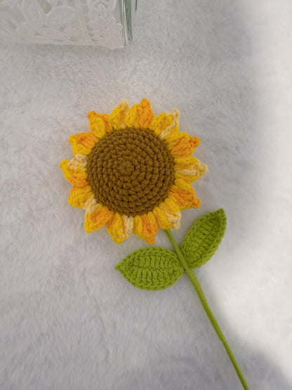 Variegated Yellow Sunflower