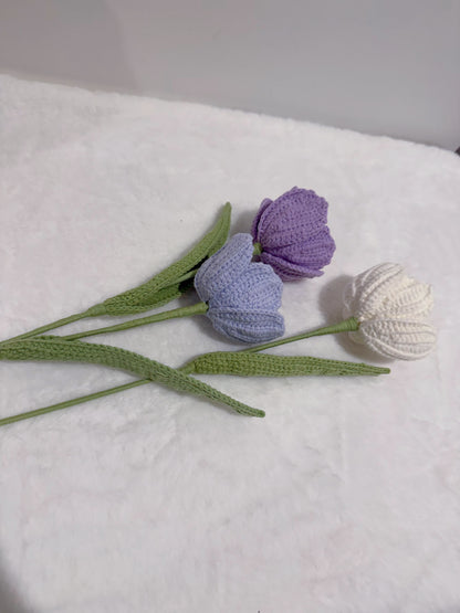 Tulip