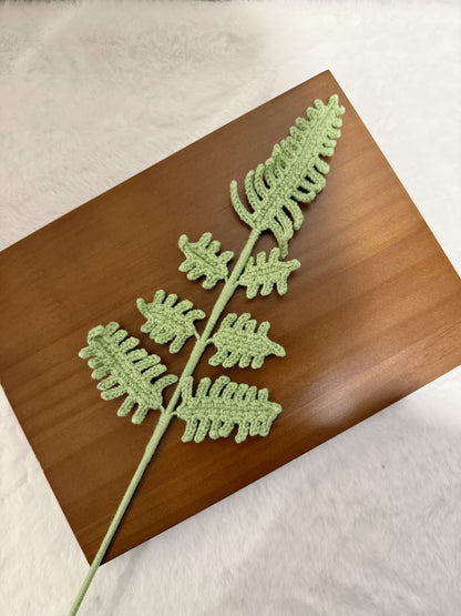 Fern