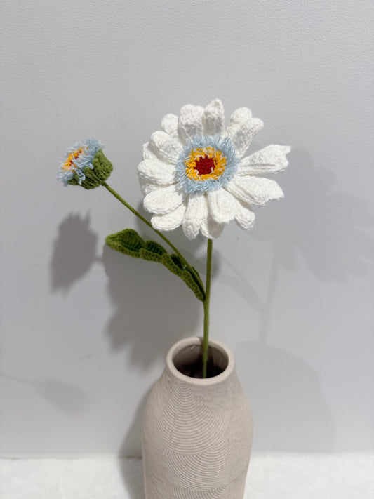 Gerbera with Bud