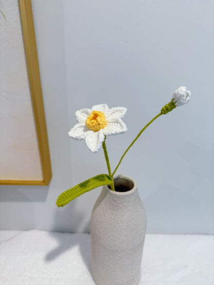 Daffodil