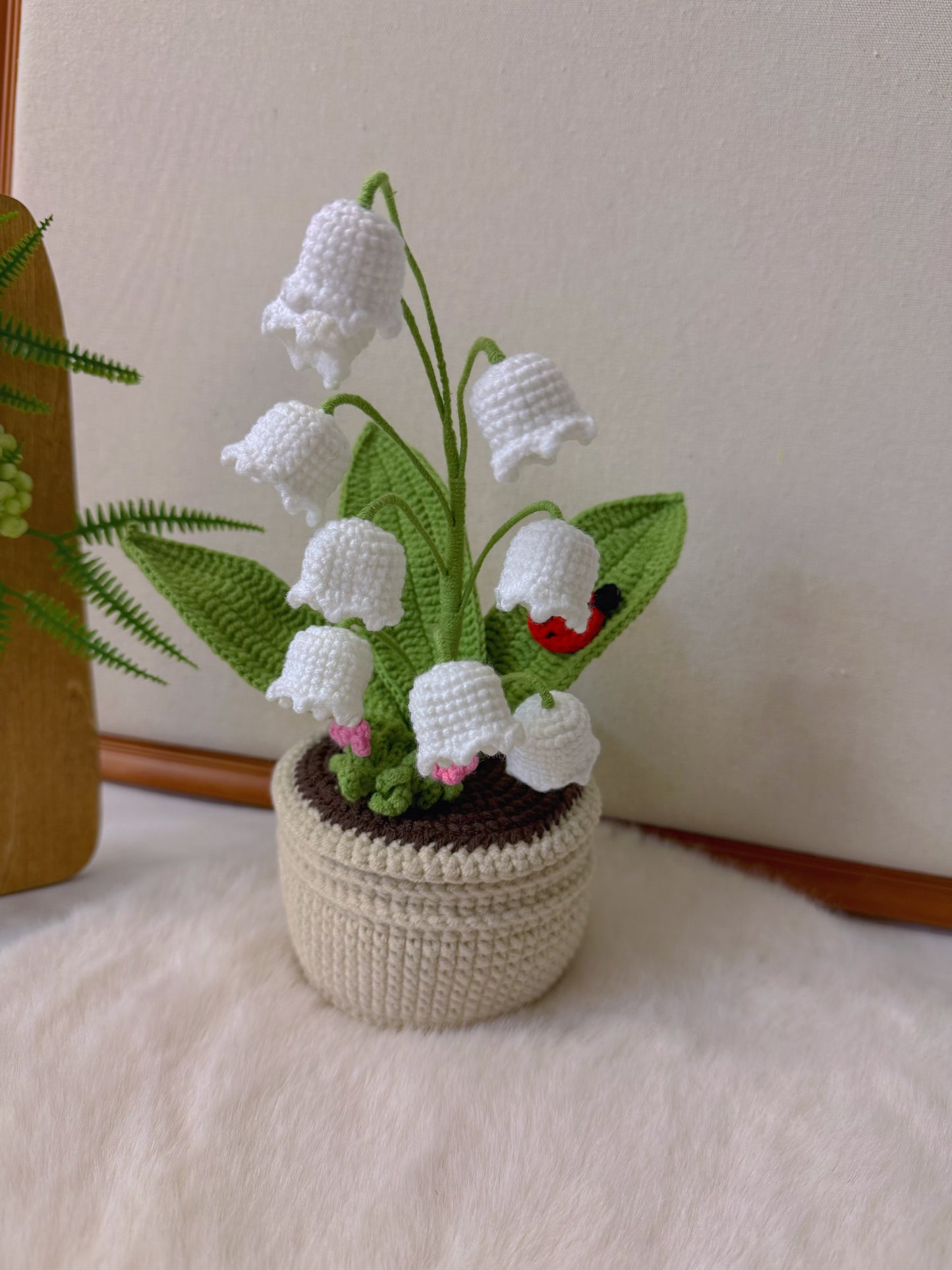 Potted Lily of the Valley with Ladybird
