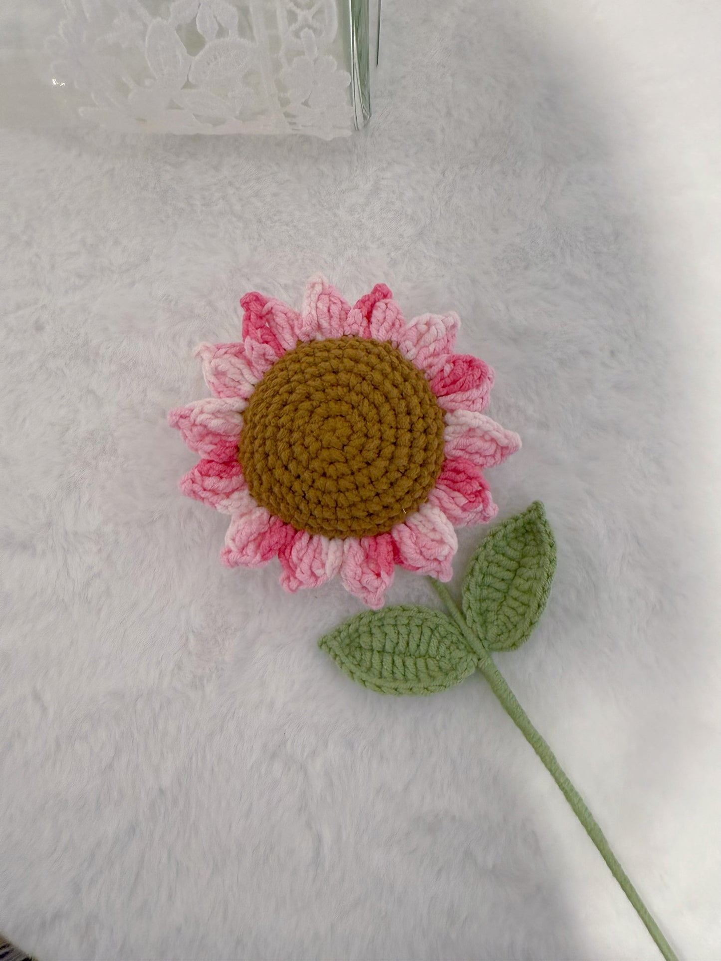 Variegated Pink Sunflower