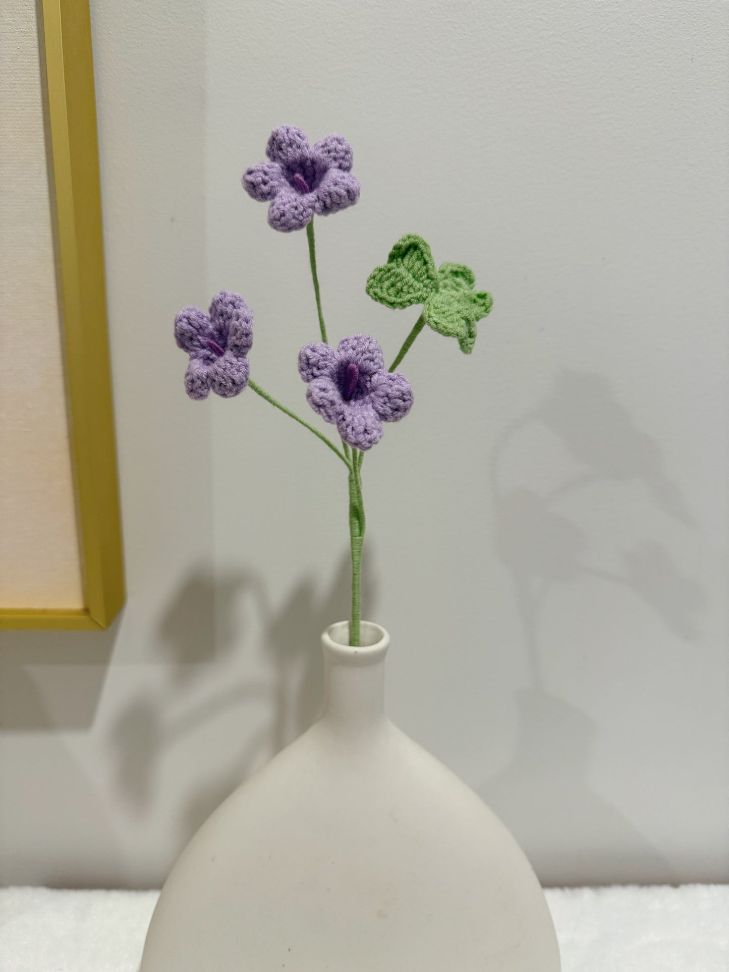 Oxalis