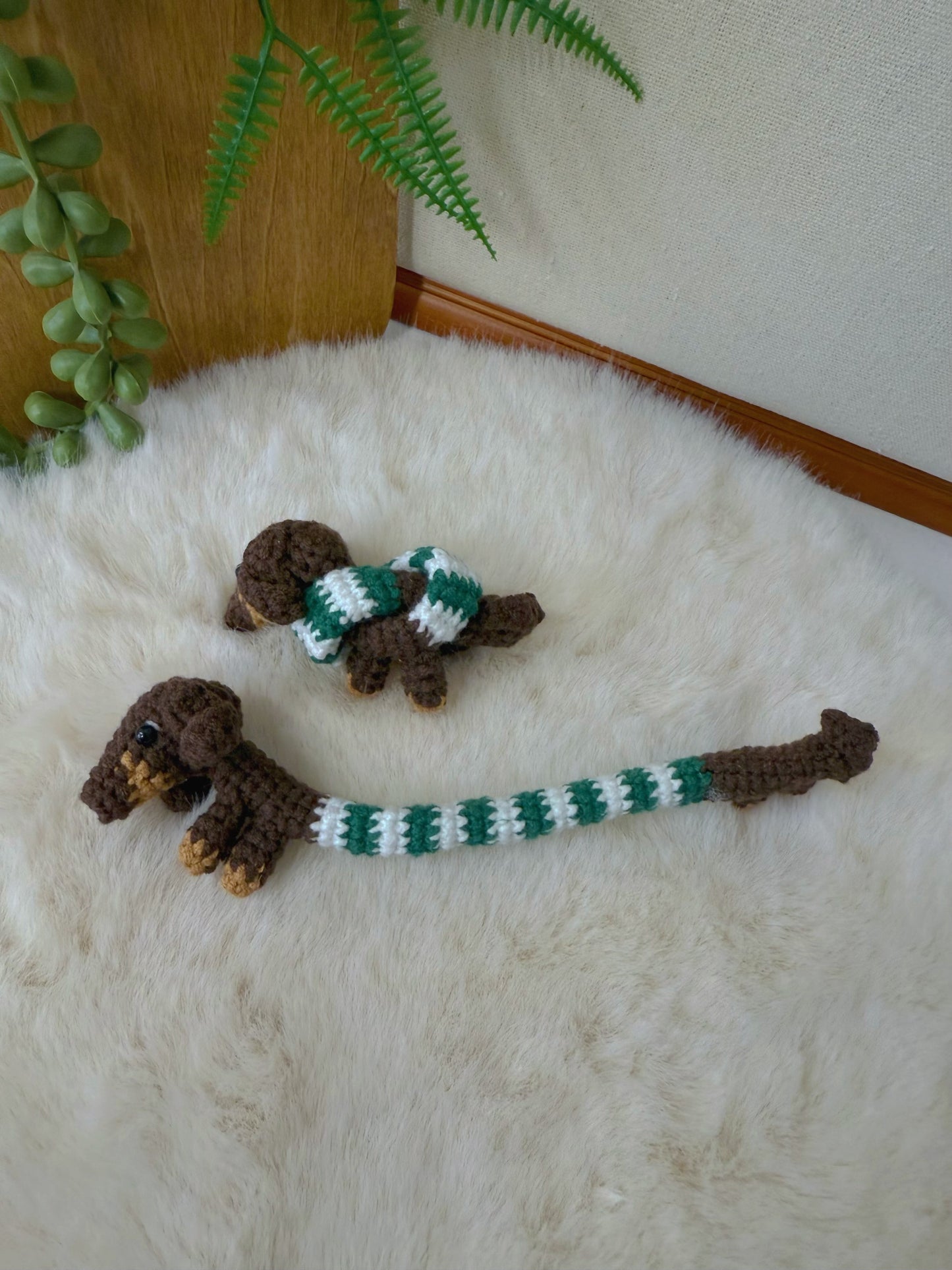 Long-bodied Dachshund Key Charm