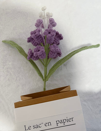 Hyacinth