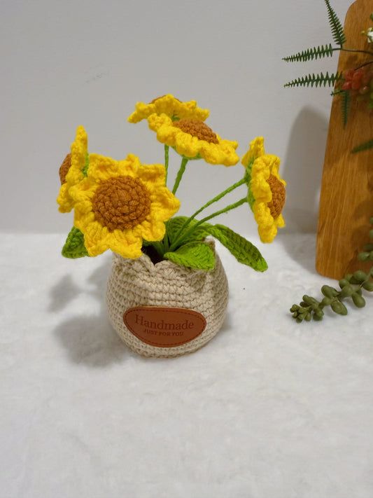 Sunflowers in Pot