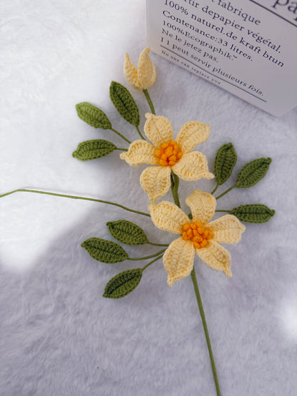 Clematis