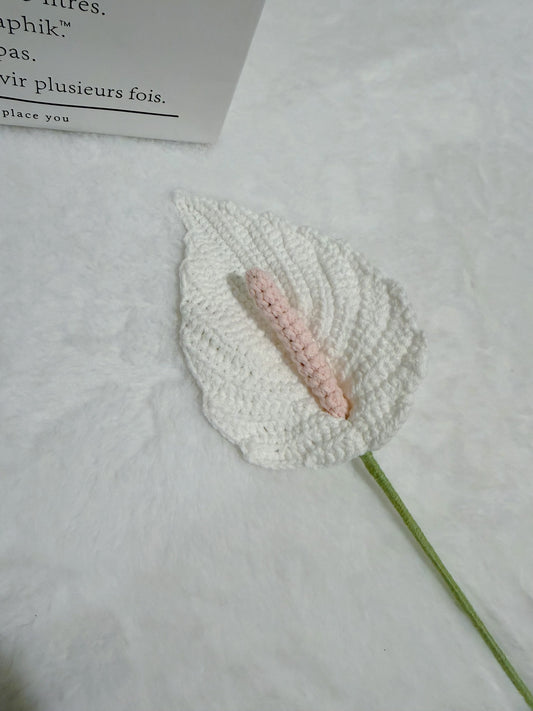Peace Lily