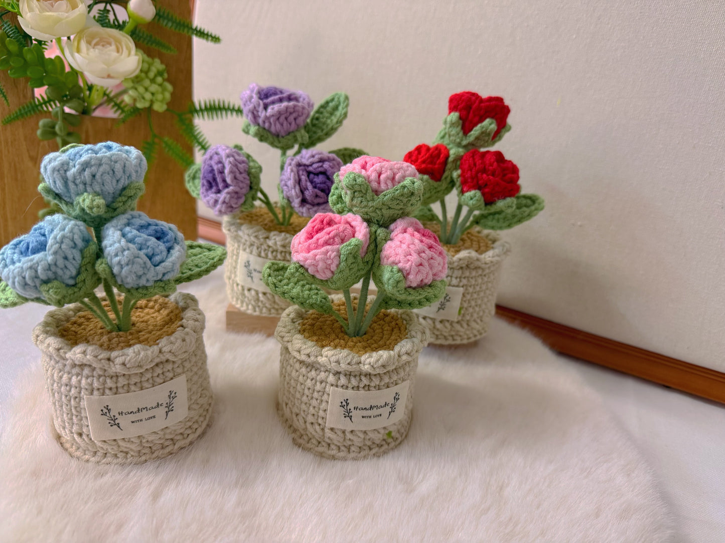 Potted Roses