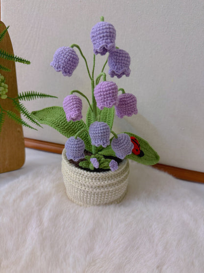 Potted Lily of the Valley with Ladybird