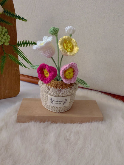 Potted Lily of the Valley