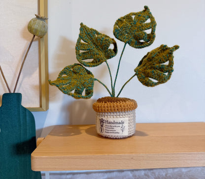 Wolly Monstera Pot