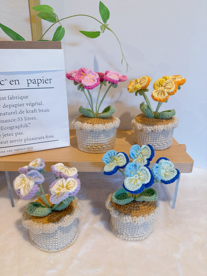 Pansy Flowers Pot Decoration